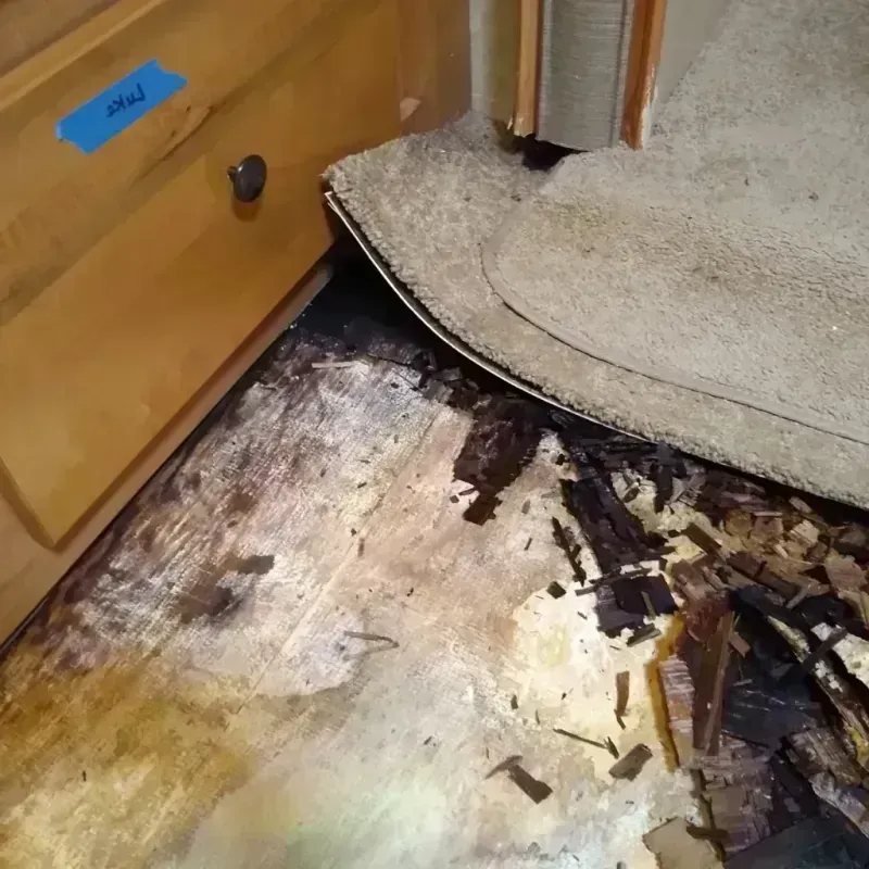 Best Wood Floor Water Damage Service in Harrison, NJ